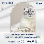 فندقة وايواء حيوانات اليفة