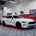 موستنق 2019 برفورمنس بكج