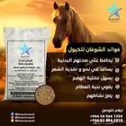 شوفان حب- اعلاف خيول