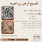 للبيع ارضين زراعية بالقاعد