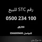 رقم اس تي سي للبيع