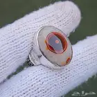 تم البيع - سليماني هندي مميز عين حمراء