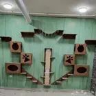 أعرض لكم بيوت للبساس الايبغيهم والبع سمح ان شاءالله