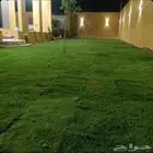 مشتل الزرع الطبيعي