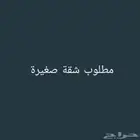 مطلوب شقة صغيرة ونظيفة لعائلة صغيرة جنوب الرياض