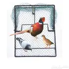 شبك مصيدة للطيور مقاس 35 35