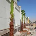 لمسه ابداع لتنسيق الحدائق