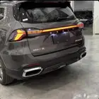 جيلي اوكافانجو 2025