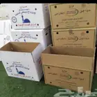 يوجد لدينا كرتين بيض نضيفه