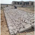 تنفيذ الشبوك وزراعة النخيل وتركيب الحجر