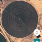 مطلوب مزرعه للايجار لبرسيم