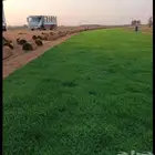 ثيل طبيعي C2000 درجه اولي