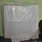 مرتبة قاسية تعيش عمر طويل