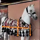 مستلزمات الخيل تفصيل جلال خيل