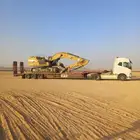 لوبد متواجد في القصيم