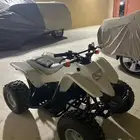دباب