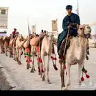 آجار جمال رحول ركبي لي التصوير وا الفعاليات وا المناسبه