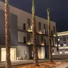 نخيل ووشنطن
