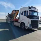 لوبد متواجد في القصيم