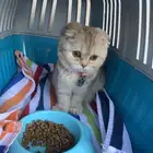 الشرقية_الرياض _المجمعة_القصيم _حايل_المدينه المنورة _والعكس