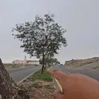 ارض تجاريه ابها