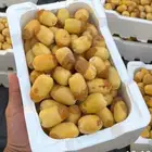 رطب خلاص فاخر