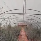 للبيع البيوت محمي