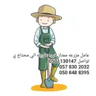 الي محتاج مزارع أكثر من 20سنه خبره