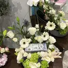 مندوب وتنسيق ورود