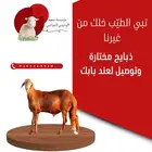 أجود أنواع اللحوم الطازجة يومي ا  مباشرة من المزرعة إلى مائد