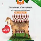 خروف كشميري399- ذبايح - كشميري - مبرد - لحم - تيس تابي تمارا