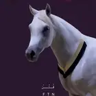 قلادة خيل