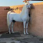 مهر