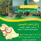 ذرة مجروشة شامل توصيل