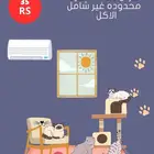 فندقه قطط
