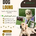 فندقة كلاب شمال جده