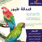 فندقة طيورر ب اقل الاسعار و ب افضل اهتمام