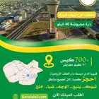 ذرة صفراء مجروشة