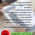 تصميم سيرة ذاتية cv حسب الطلب