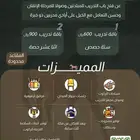 تدريب فروسية