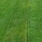 توريد وتركيب الثيل الطبيعي