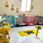 فندقة قطط وكلاب صغيرة في الاحساء