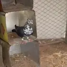 السلام عليكم للبيع حمام نضيف وعلى شرط