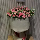 هدياكم بكل ثقه