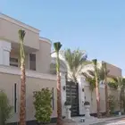 نخل وشنطونيا زينه ابومروحه