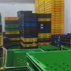 سلات بلاستيك للخضار والتمور