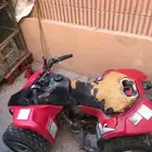 دباب
