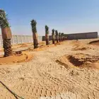 توريد جميع أنواع أنخيل وشنطن