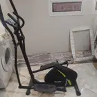 الغزال الطائر