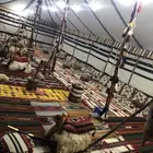 ايجار خيام وبيوت شعر